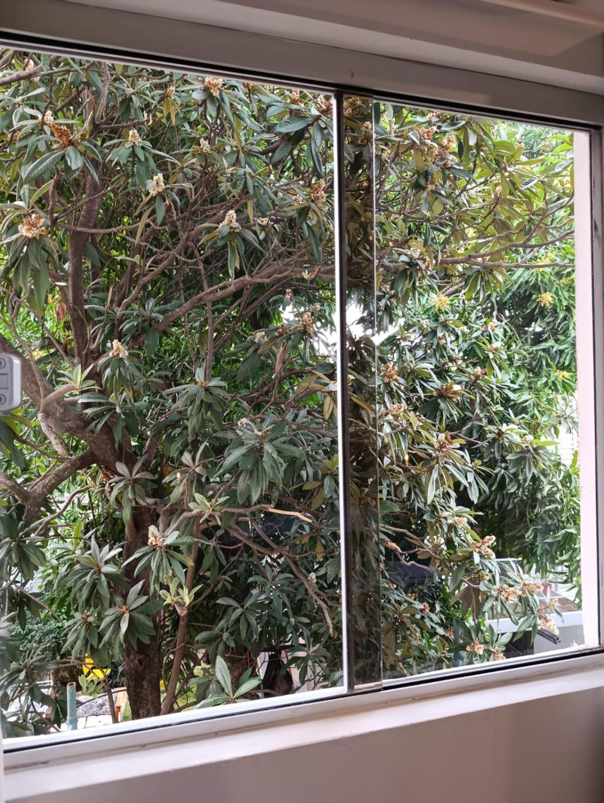 Taguato Appartement Asuncion Buitenkant foto